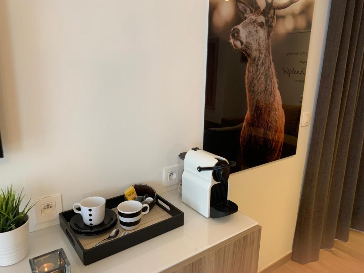 Q Studio Herzele Exteriér fotografie